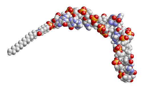 Modeling-of-the-SQY51-drug-compound